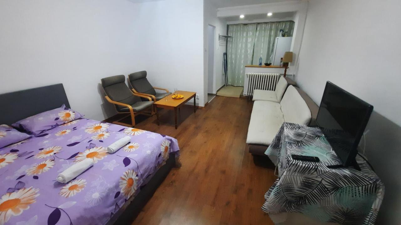 Lovely 1 Bedroom Apartment With Free Street Parking 布加勒斯特 外观 照片