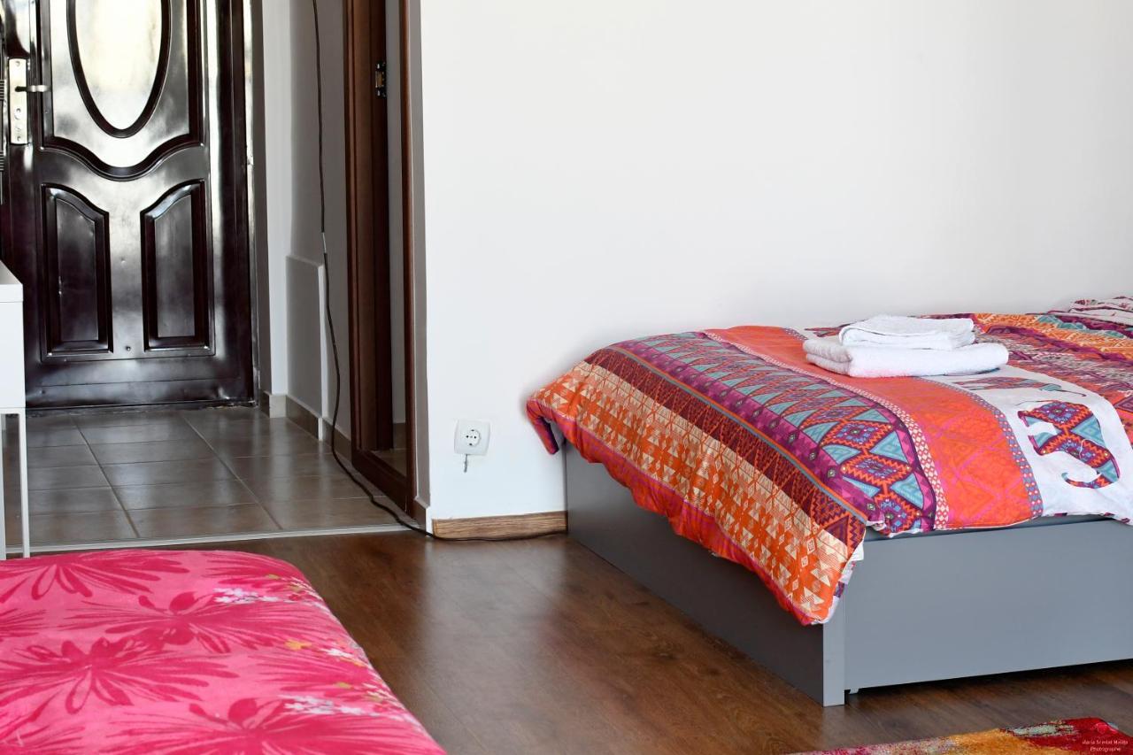 Lovely 1 Bedroom Apartment With Free Street Parking 布加勒斯特 外观 照片